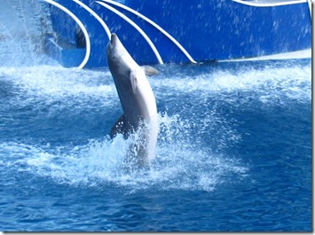 IMG_3284 IMG_3284