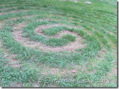 spiral lawn spiral lawn