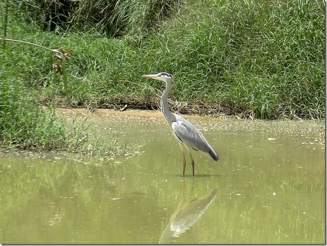 Kalimba_Reptile_Park-16_thumb