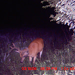 MDGC0228.JPG