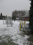 start to run 2010: Foto