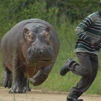 10 curiosidades interessantes que provavelmente você não sabia 1 10 curiosidades interessantes que provavelmente você não sabia 1