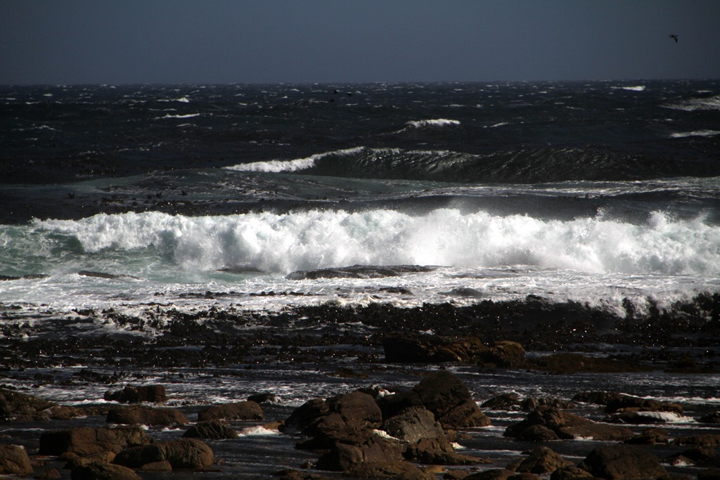 [IMG_2349%255B6%255D.jpg]