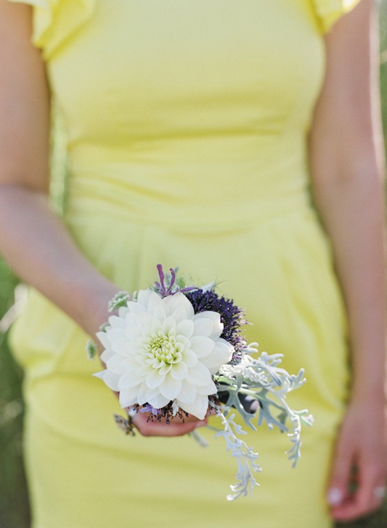 [giacanali-16-the-cutting-garden5.jpg]