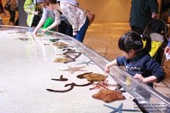 IMG_2973 IMG_2973