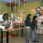 Musée Armand-Frappier