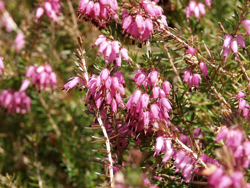P4250628 1