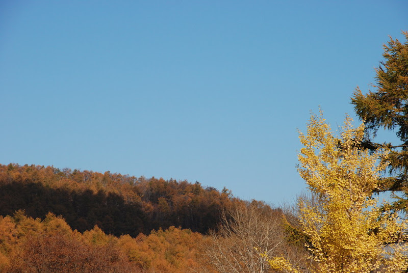 hokkaido_293.jpg