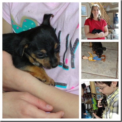 Nutmeg 5 weeks Nutmeg 5 weeks
