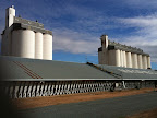 Jul 9 - Wheat Silos, Poochera, SA