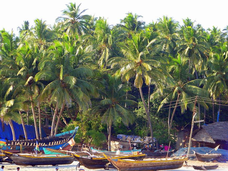 View Larger Image. Current:800x600 Available:869x652 :: Incredible India : Konkan Incredible India : Konkan