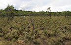 BezNazwy_Panorama1.jpg