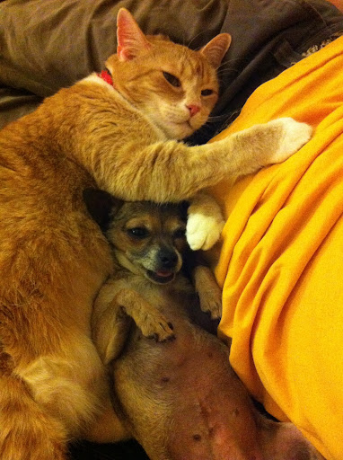 I'm thankful I can be safe and vulnerable...