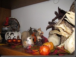 IMG_0003 IMG_0003