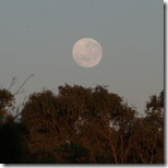 IMGP9536 the full moon setting as the sunrises