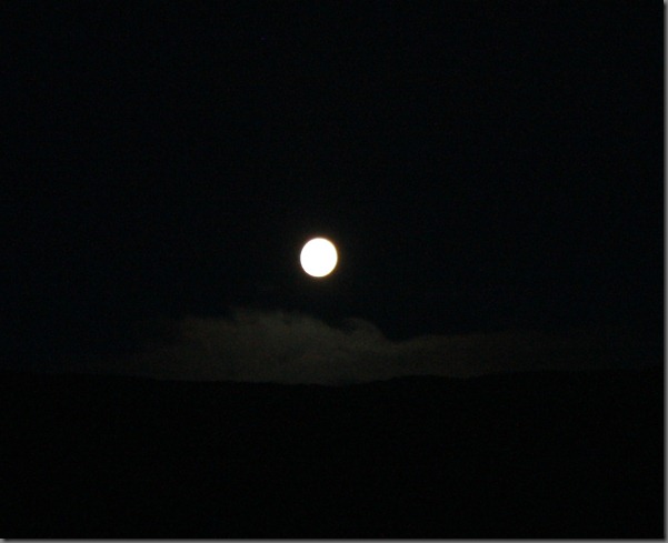 IMG_8344 IMG_8344