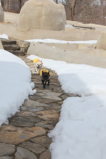 Even though there are signs of spring, it's still winter.  Let's go inside and warm up!  My feet are cold!
