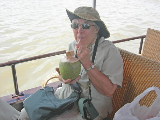 Where+is+the+mekong+river+delta+located