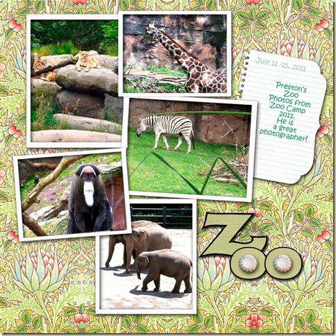 CD-Zoo Camp_edited-1 1000-Victoria