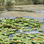 DSCN8356.JPG