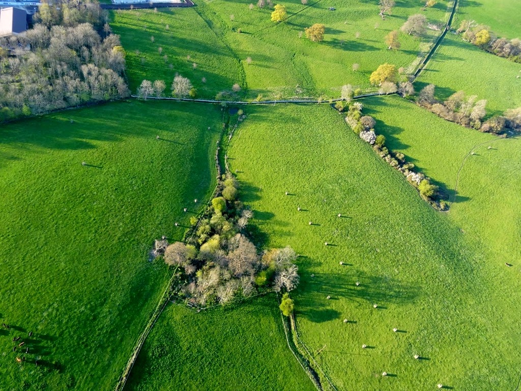 [DSC05032%2520%25281300x975%2529%255B5%255D.jpg]