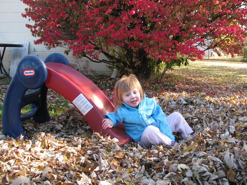 [IMG_4895%255B3%255D.jpg]
