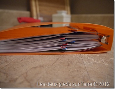 P1020899 P1020899