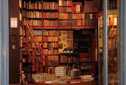 tumblr_lwlaad17Wy1r5zpfuo1_500