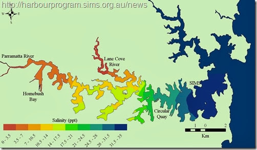 salinity map of the harbour