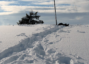 Vrh/Summit