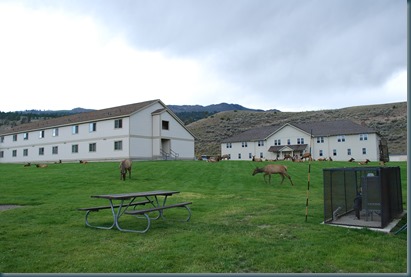 Yellowstone 022