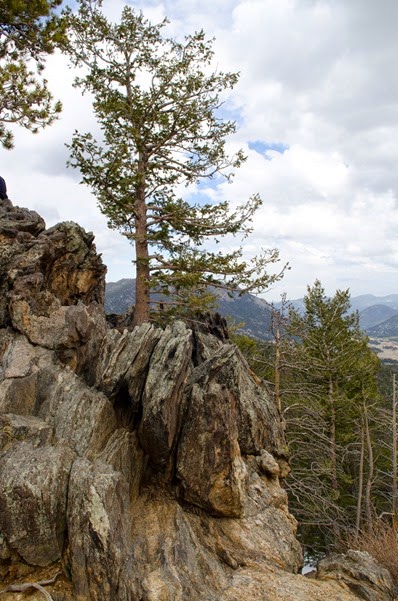 Rocky Mountain National Park-2