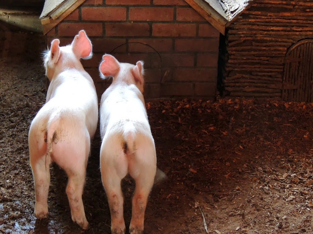 [DSCN6731%255B3%255D.jpg]