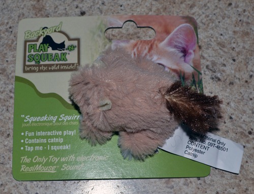 [squeaking%2520squirrel%255B3%255D.jpg]