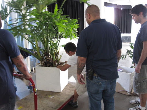 Then, the smaller one was repotted and also delivered.