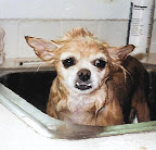 Bath time, while not a favorite activity, was surprisingly well tolerated!