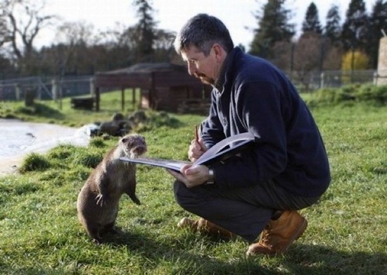 [animals-and-humans_09%255B2%255D.jpg]