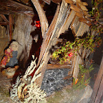 1460-7.JPG