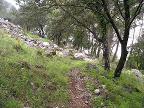 P1010147.JPG