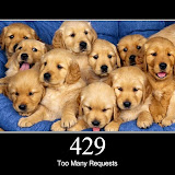 429.jpg