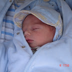 Andronic Nicolas
