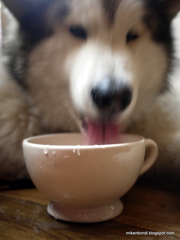 [Munsons-cuppa-water-15.jpg]