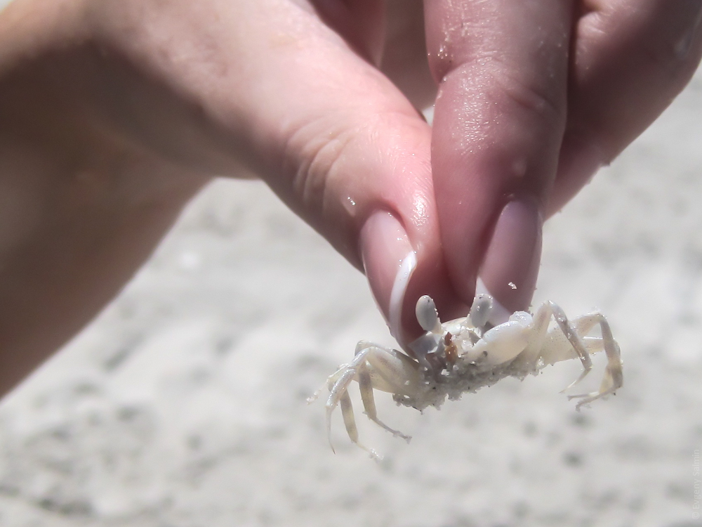 Лангкави, Малайзия - август 2012 (ч.2 - Пляжи)