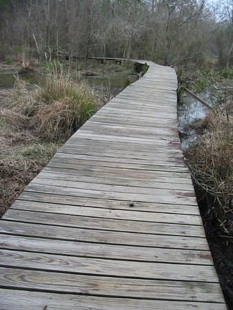 [IMG_2065-M%255B2%255D.jpg]