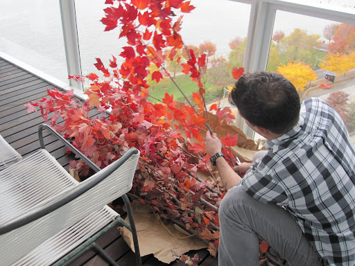 Here, Tom is taking a look at which branches he wants to use for one of the arrangements for my dinner parties.
