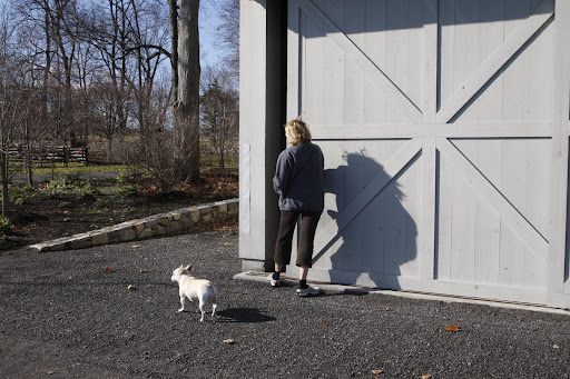 Martha stopped to inspect the trailer barn, so we decided to get out with her.