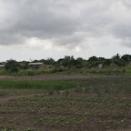 5b.jpg