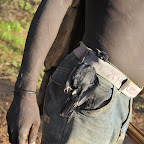 Die Beute am Gürtel eines Hadzabe © Foto: Marco Penzel | Outback Africa Erlebnisreisen