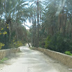 Tunesien-12-2010-153.JPG