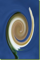16.Twirl on Spirals-3365 16.Twirl on Spirals-3365